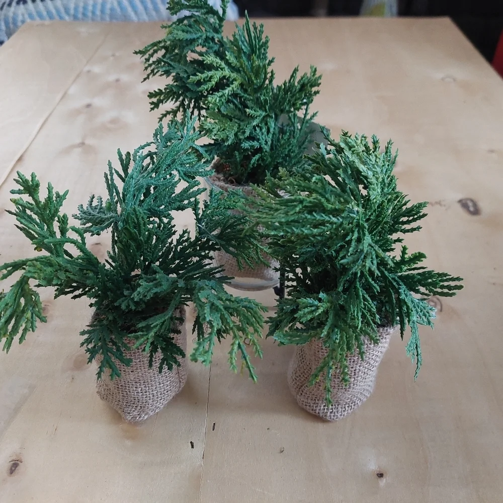 NEW WITH TAGS 3pcs At HOME Plants Set Burlap BAG  Small Greenery. (A)